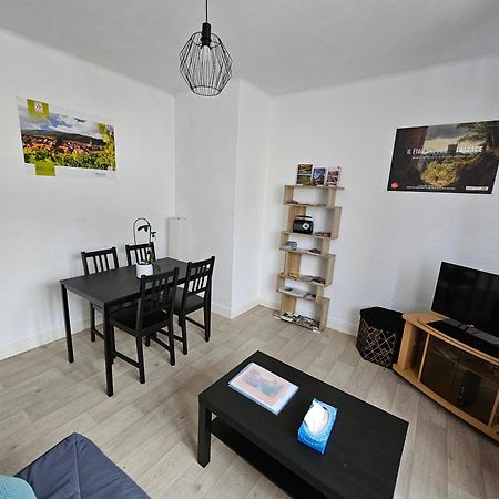 Le Nid Des Cigognes A Colmar Centre, Proche Gare, Marches De Noel Apartment ภายนอก รูปภาพ
