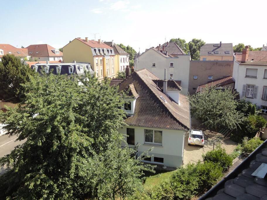 Le Nid Des Cigognes A Colmar Centre, Proche Gare, Marches De Noel Apartment ภายนอก รูปภาพ
